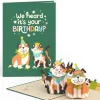 Lovepop Greeting Cards|Birthday|We Heard It's Your Birthday Dog and Cat Pop-Up Card
