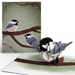 Lovepop Value Packs|Winter Bird Box Set (Assorted 12-Pack): Paperpop® Card