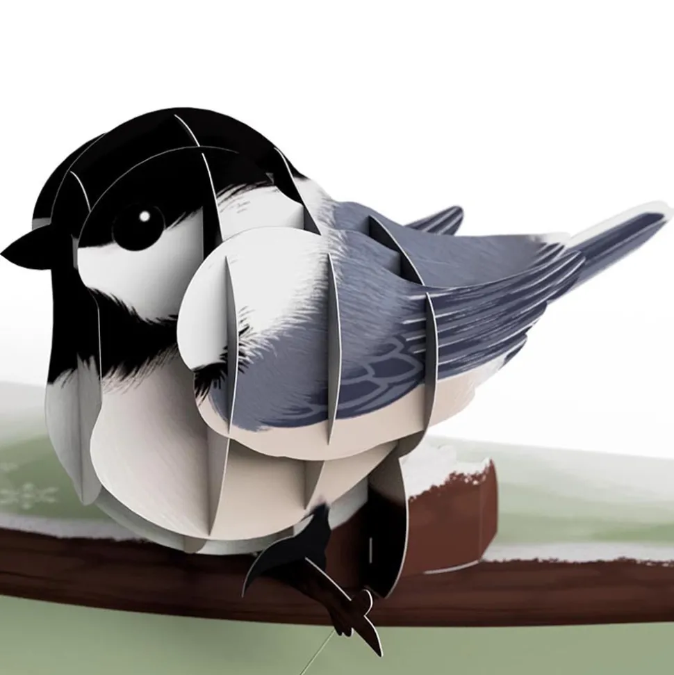 Lovepop Value Packs|Winter Bird Box Set (Assorted 12-Pack): Paperpop® Card