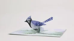 Lovepop Greeting Cards|Just Because|Winter Blue Jay Pop-Up Card