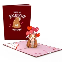 Kids Lovepop Greeting Cards|Anniversary|You’re My Favorite Human Pop-Up Card