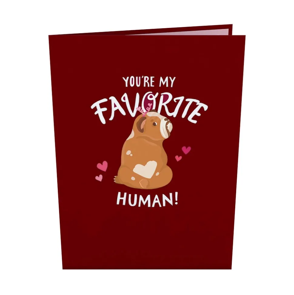 Kids Lovepop Greeting Cards|Anniversary|You’re My Favorite Human Pop-Up Card