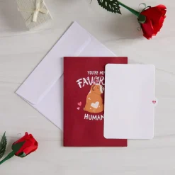 Kids Lovepop Greeting Cards|Anniversary|You’re My Favorite Human Pop-Up Card
