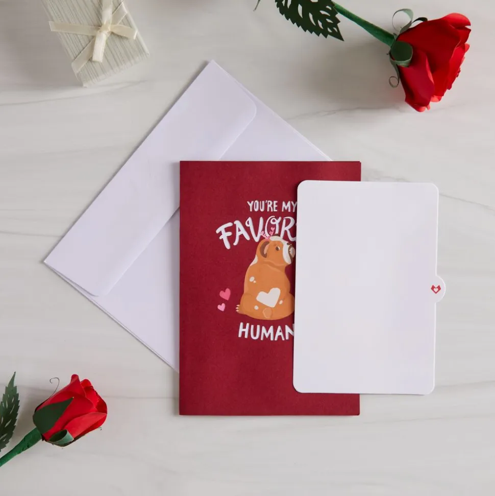 Kids Lovepop Greeting Cards|Anniversary|You’re My Favorite Human Pop-Up Card
